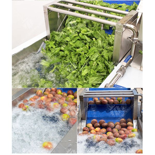 Vegetables bubble washing machine Wash Washer Washing Cleaning processing production Fruit Orange Vegetable Leaves Vegetables Herbs