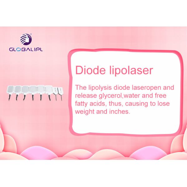 Multi Function Cryolipolysis Machine For Body Thinner And Skin Tightening