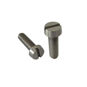 Customized Titanium Slotted Head Screws For Industrial