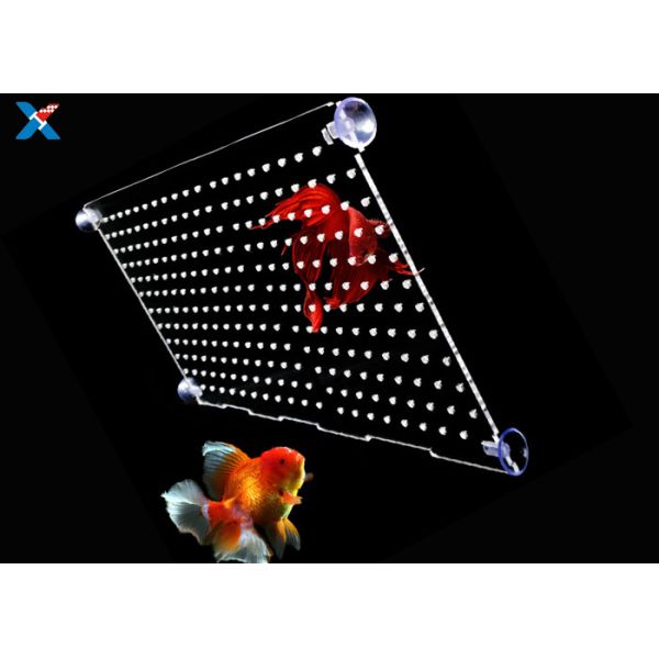 Customized Acrylic Aquarium Fish Tank Isolation Divider Filter Partition Board