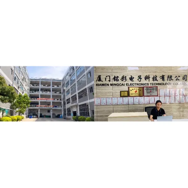 Custom Pet / Acrylic Window Membrane Panel for Electronics