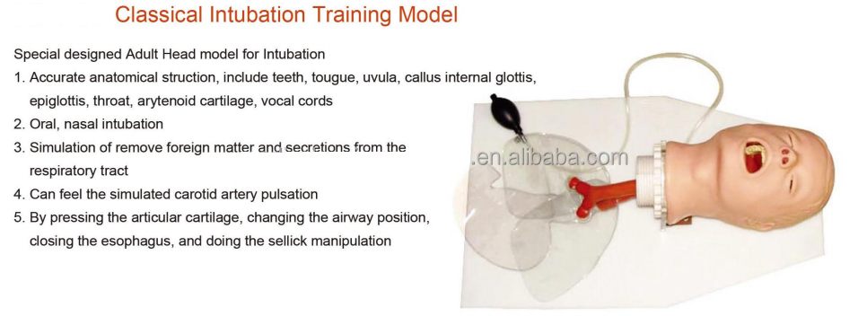 Advanced half body CPR manikin training Advanced computer Half body first aid training model Cardiopulmonary resfor sale