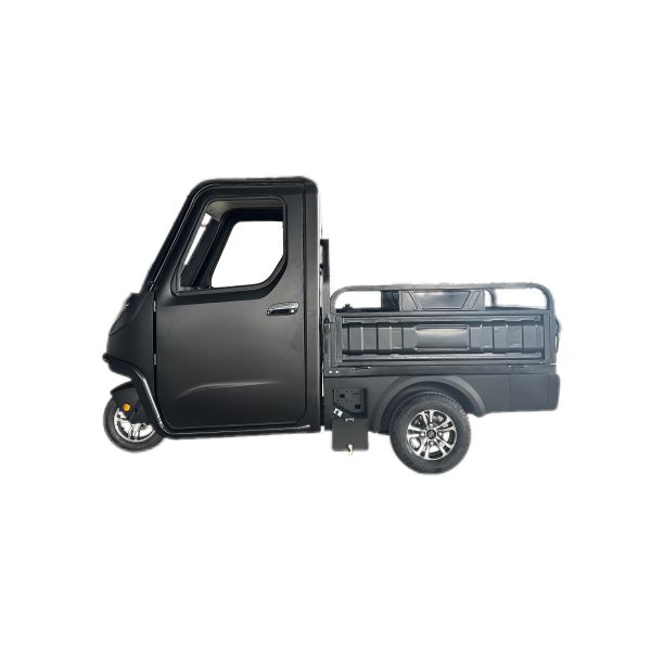 On-Road Electric Cargo Car with High Grade Ability and EEC Certification