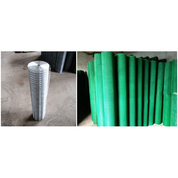 Hot Dipped galvanized square mesh wire netting electro galvanized welded wire mesh for filter