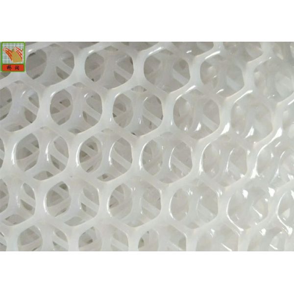 Hexagonal Extruded Plastic Netting, Extruded Plastic Netting, HDPE Materials, 300g - 1200g / Sqm Weight