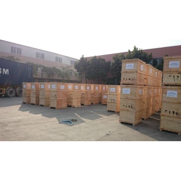 Commercial Batch Frozen Vertical Ice Cream Machine Frozen Catering Event Ice Cream Machine for Sale Brazilian Acai Freezer