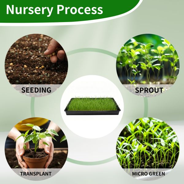 Customized Black PET/PP Rectangular Flat Bottomed Seedling Tray For Cat Grass And Rice Seedling Pot