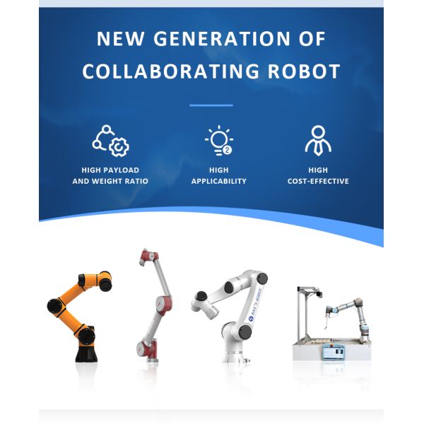 China Low Cost Automatic Industrial Collaborative Carton Picking Palletizing Robot with Vacuum Robotic Gripper