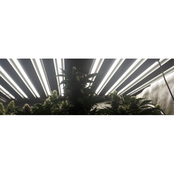 36W Dimmable Led Grow Lights