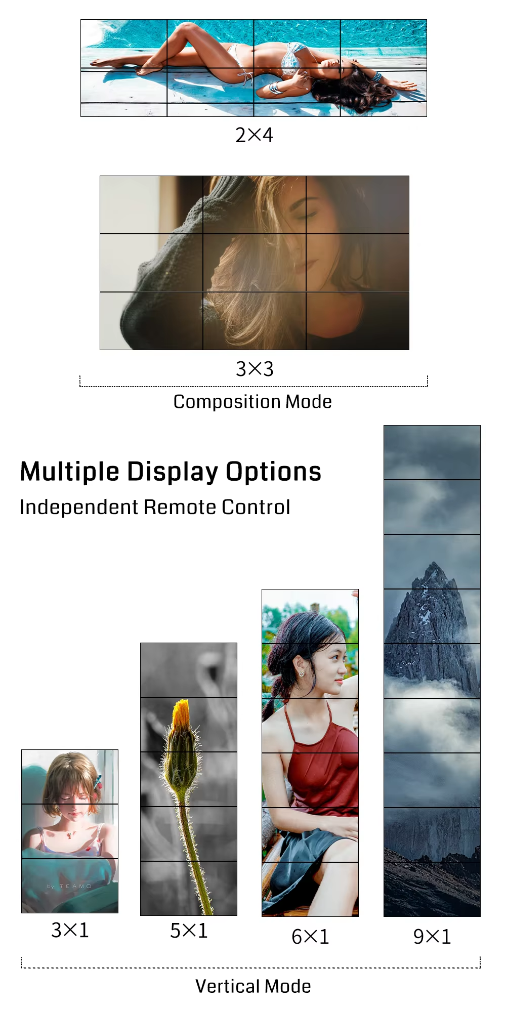 BITVISUS Video Processor Feature 7
