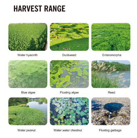 High Efficiency Environmentally Friendly Mowing Boat