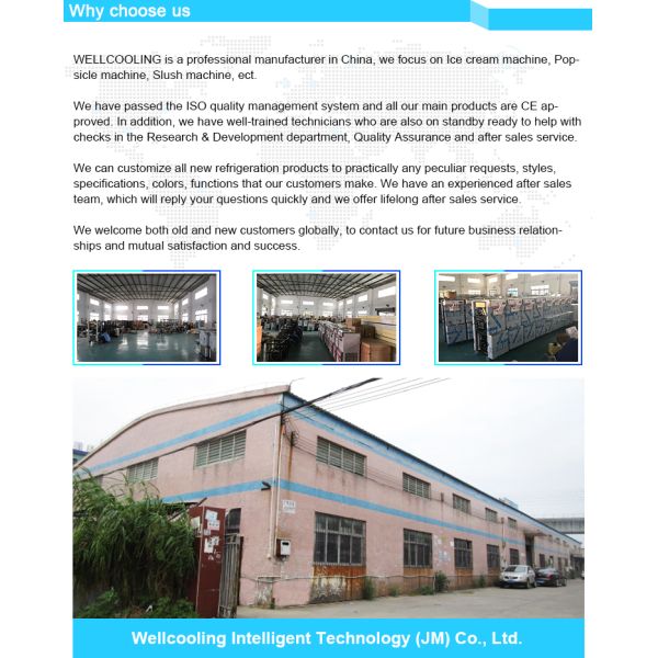 Custom Color Mini Electric Egg Breakfast Custard Sundae Pizza Crepe Round Waffle Maker