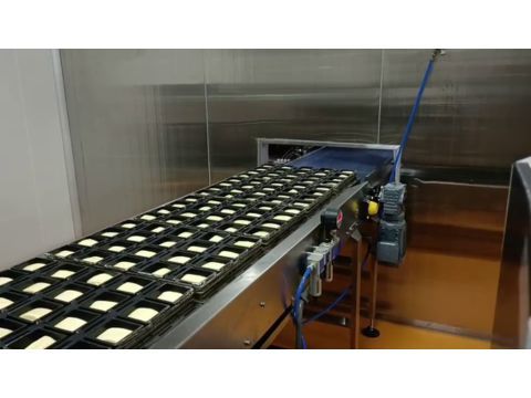 Matrix-loaded square toast embryos in trays moving continuously toward the commercial proofing and industrial baking tunnel oven.