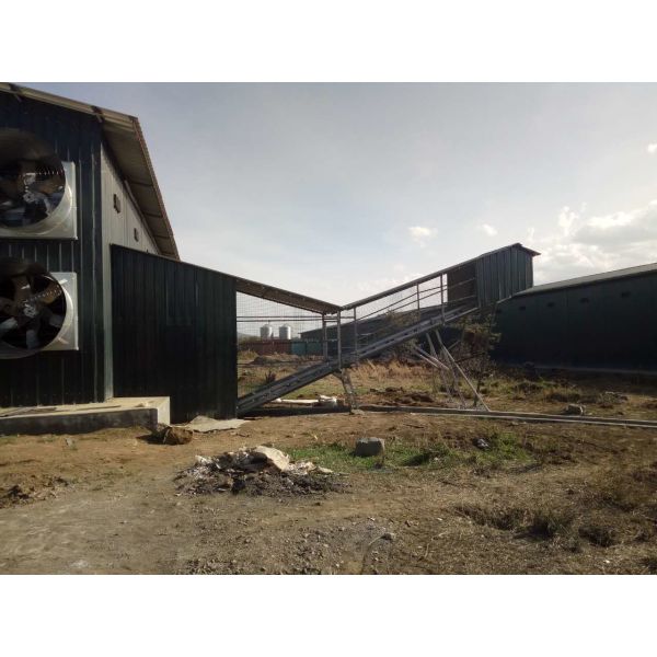 Poultry Layer Cage System High Capacity Poultry Solution Battery Cage for Layers