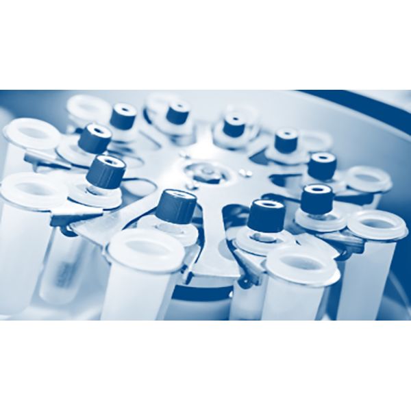 97.51% Accuracy COVID 19 IgG IgM Rapid Test Cassette