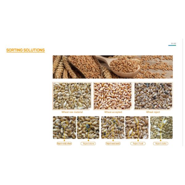 Optical RGB CCD Grain Wheat Sorter Machine 7 Chutes 448 Channels