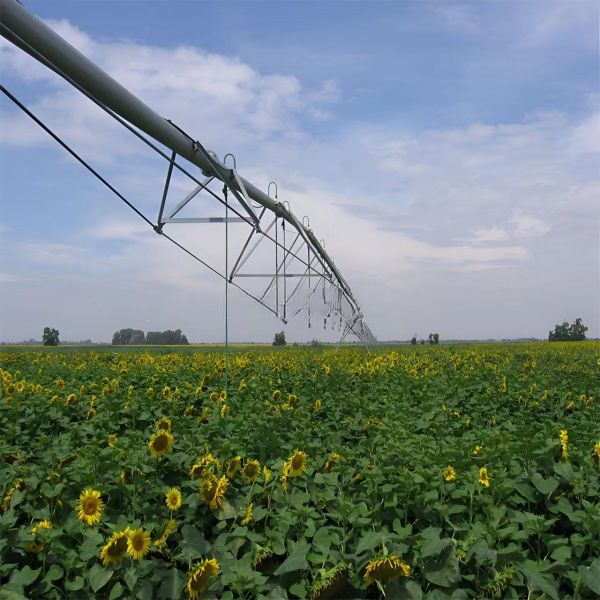 Large Farm Advanced Digital Metal Linear Move Irrigation System Core Components with Motor and Gearbox 2354 inch Diameter