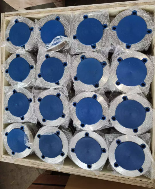 Custom DIN2576 Pn40 St37.2 Pl Ss Flanges ISO Standard Super Duplex Stainless Steel Flange Alloy Metal Flange