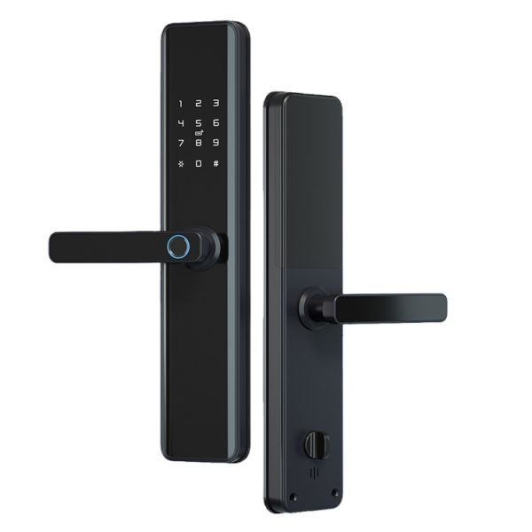 Tuya Electronic Smart Door Lock with Blue-tooth Network Cloud Data Storage Option