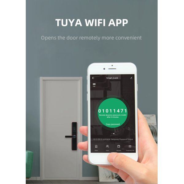 Compatible Keyless Door Lock Electronic Door Locks With TUYA Or TT Lock App