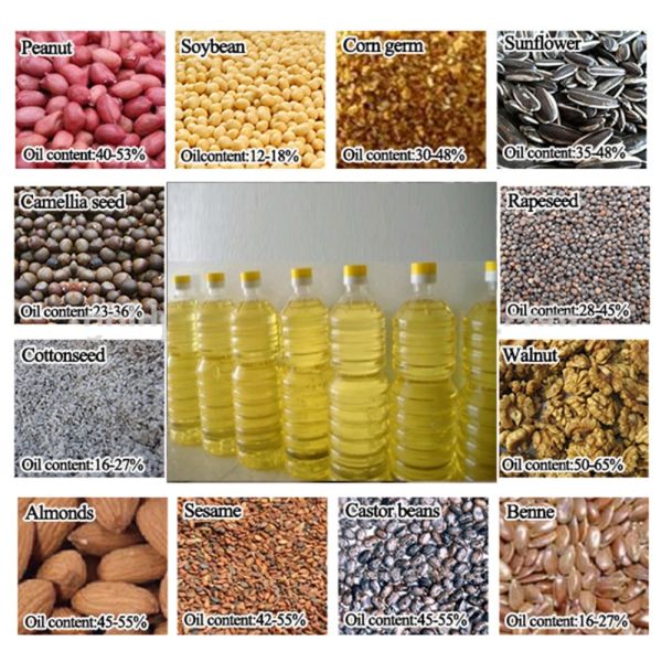 Cold Hot Pressing Machine High Safety Level Automatic Cocoa Butter Press Machine Sesame Walnut Oil Extraction Machine Cocoa Hydraulic Press