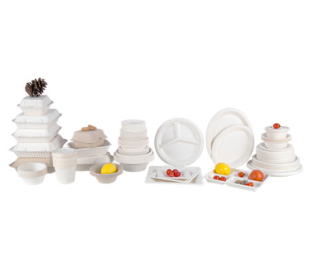 Eco-friendly Retail Shrinking Package Sugarcane Round Plates Biodegradable Bagasse Sugarcane Pulp Plates tableware
