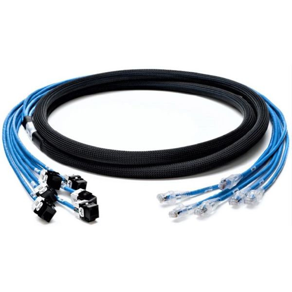 Cat 6 UTP Plug to Jack Trunk Cables