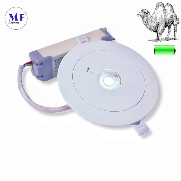 IP43 LED Emergency Spot Ceiling Down Light 3W Recessed Mount Downlights
