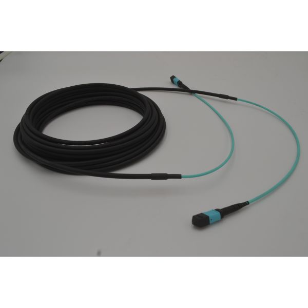 Double Sheath 12 Core 5.5mm MPO MTP Patch Cord