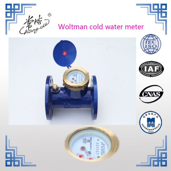 DN80mm~200mm Magnetic Drive Water Meter Removeable Woltman Domestic Water Meter