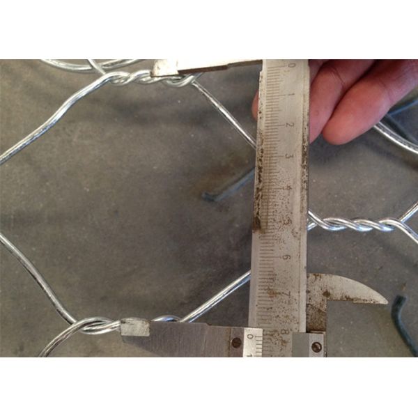 Electro Galvanized Hexagonal Chicken Wire Mesh Netting for Raising Animals