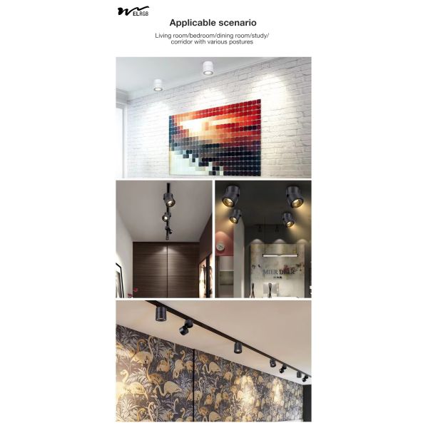 Remote Control Switch Mode LED Cylindrical COB Open-Mounted Downlights for Smart Home