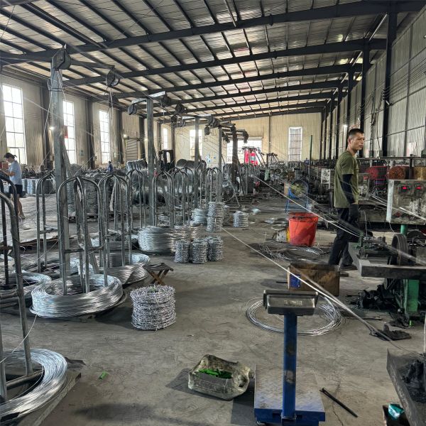 PVC Or Galvanized Security Barbed Wire For Border Protection