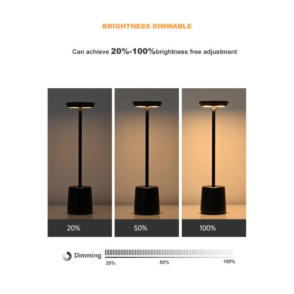 Bedside Cordless Rechargeable Metal Touch Table Lamp 188lm