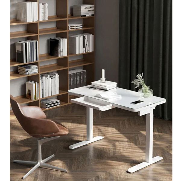 Multi-Function Adjustable Table Electric Motor Lifting Sit Stand Desk for School