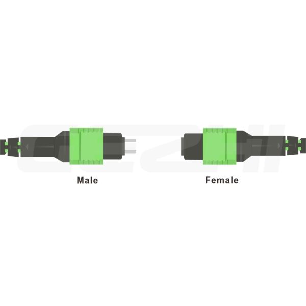 Male MPO connector with pins for adapter and panel connections