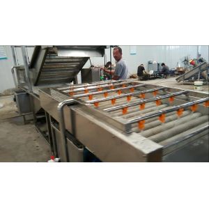 Full Automatic Apple Processing Equipment , Fruit And Vegetable Washer Machine
