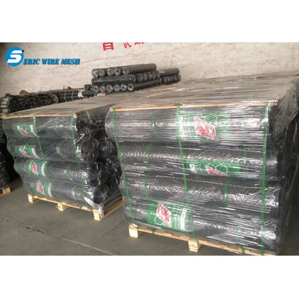 Hexagonal wire mesh/netting