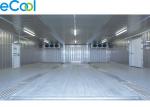 Steel Structure Cold Storage PU Panel Assembling For Frozen Vegetables And