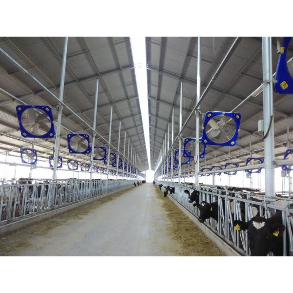 Experience Optimal Airflow and Temperature Control with Livestock Ventilation Fans