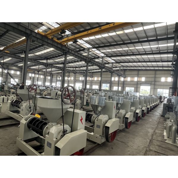 Automatically Temperature Control Cooking Oil Extraction Machine Mustardseeds Cold Press