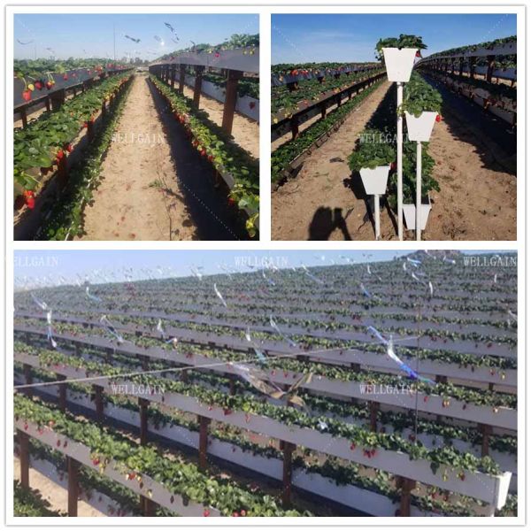Greenhouse Plastic Hydroponic Growing Systems Vertical Cultivation Strawberry Gutters