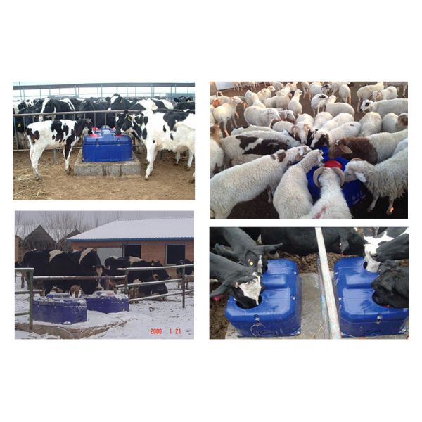 Contiuous Flow Automatic Plastic Cattle Drinking Troughs For Drinking Trough Rotomolding
