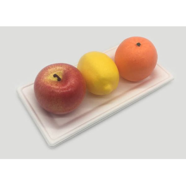 Sugarcane Rectangle Dinner 10"×5” Biodegradable Food Trays