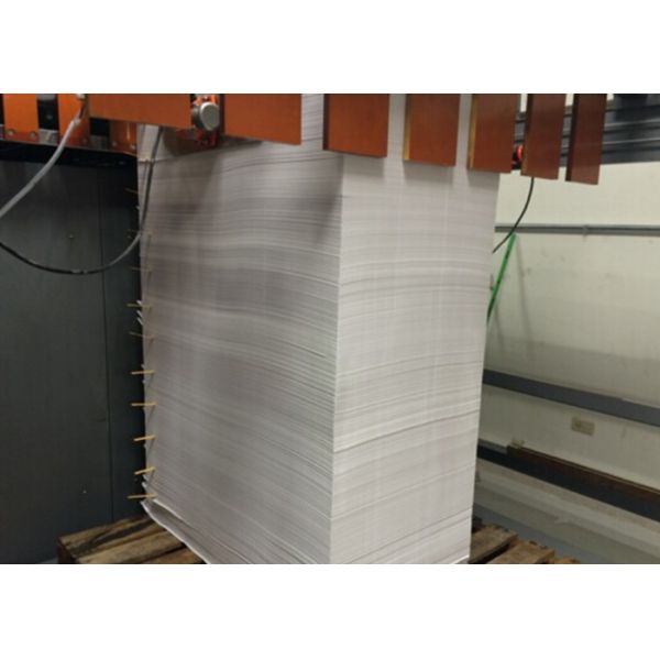 Servo Control Corrugated Box Making Machine , Rotary Knife Roll Paper Sheet Cutter