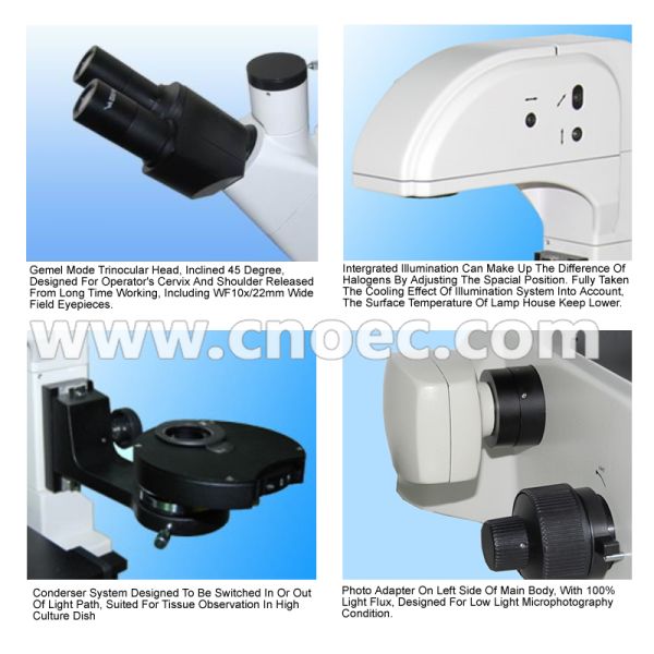 Trinocular Inverted DIC Phase Contrast Microscope A19.0204 100x - 400x