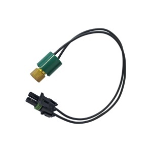 Original low pressure switch Model 448030 for Thermo King RV200