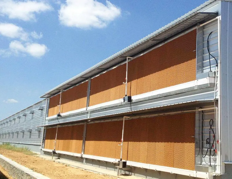 Full Automatic Hot-dip Galvanized Poultry Farm Feeding Equipment Customizable for Broiler Chicken Houses