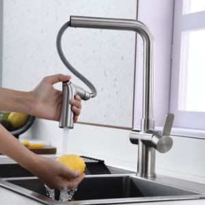 Brushed Nickel Single Hole Pull Out Kitchen Faucet Switchable Two Function
