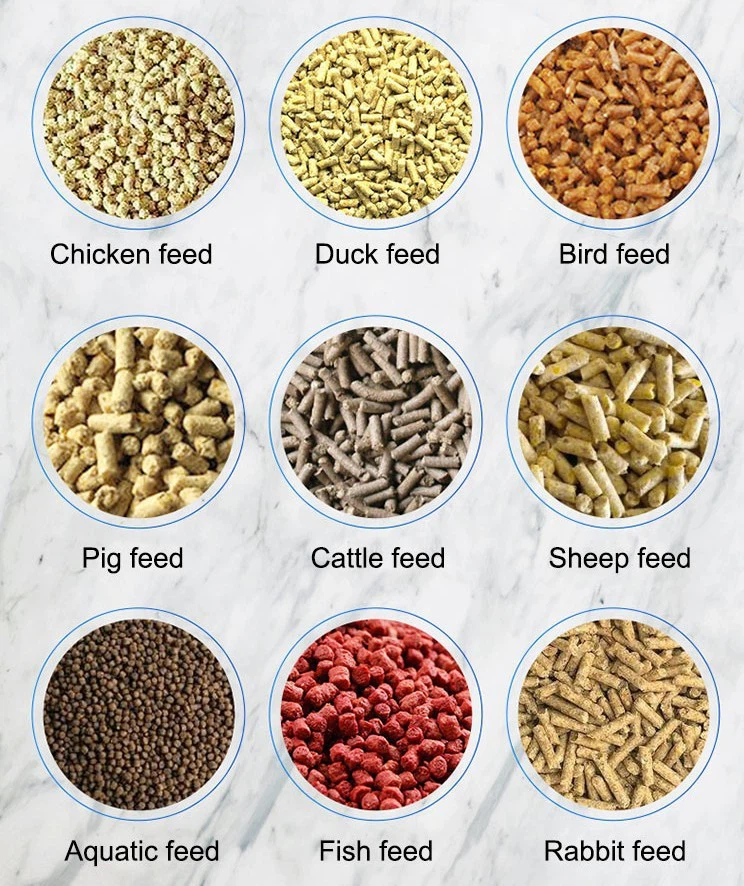 Fully Automatic Farm Feed Pellet Production Line To Improve Breeding Efficiency
